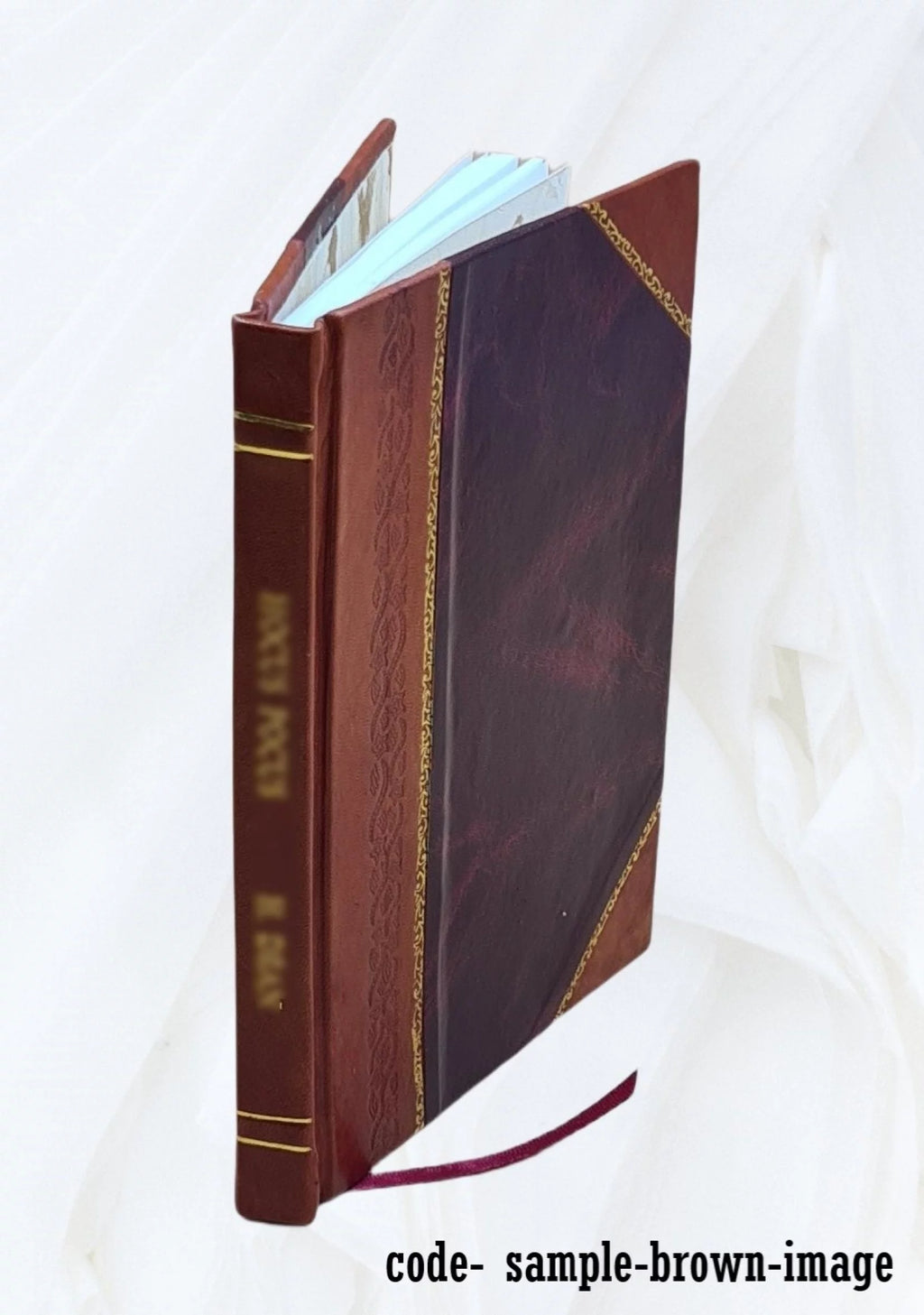 Political Conduct Marquis Arneva Spanish Revolution 1817 Leather Bound G590055