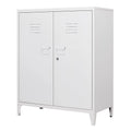 Metal Locker with 2 Doors F60640