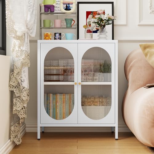 2 Door Metal Storage Cabinet with 1 Adjustable Shelf R5454