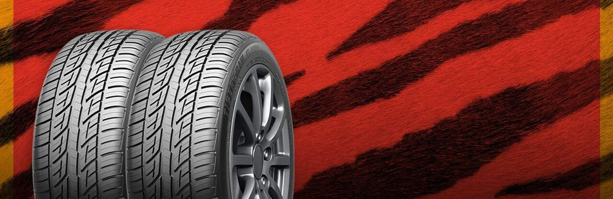 215/45R18 93W All-Season Radial Car Tire X191
