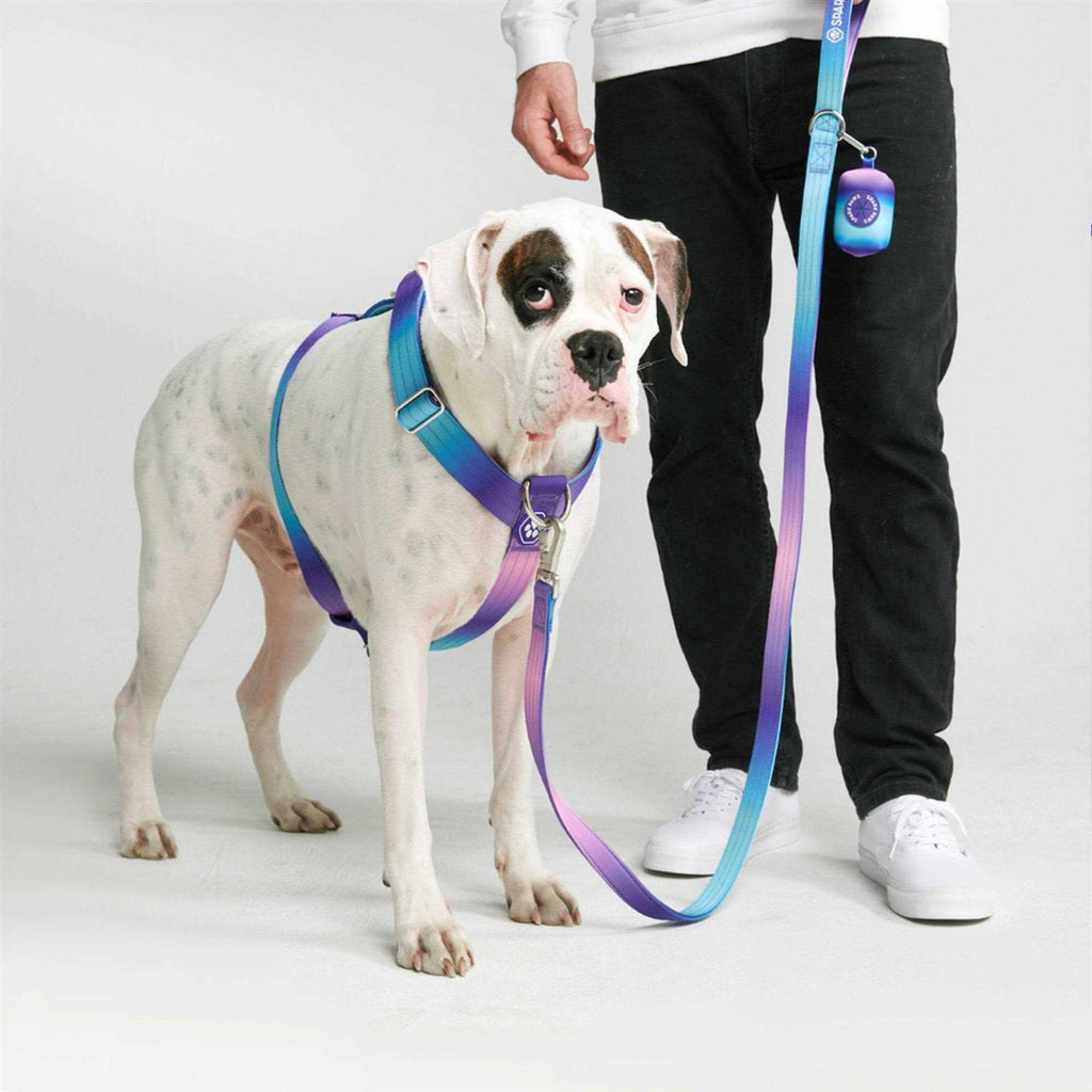 No-Pull Dog Harness R208623