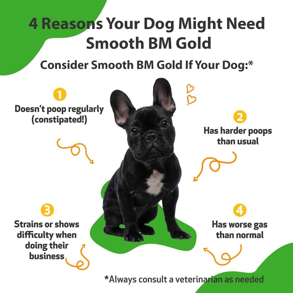 Smooth BM Gold Pet Supplies A40485