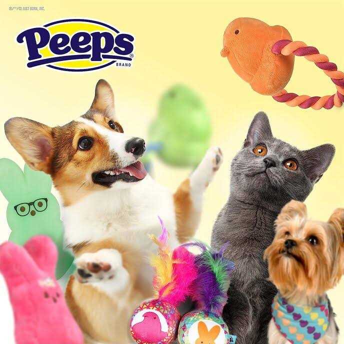 Chick Plush Dog Toy O9597