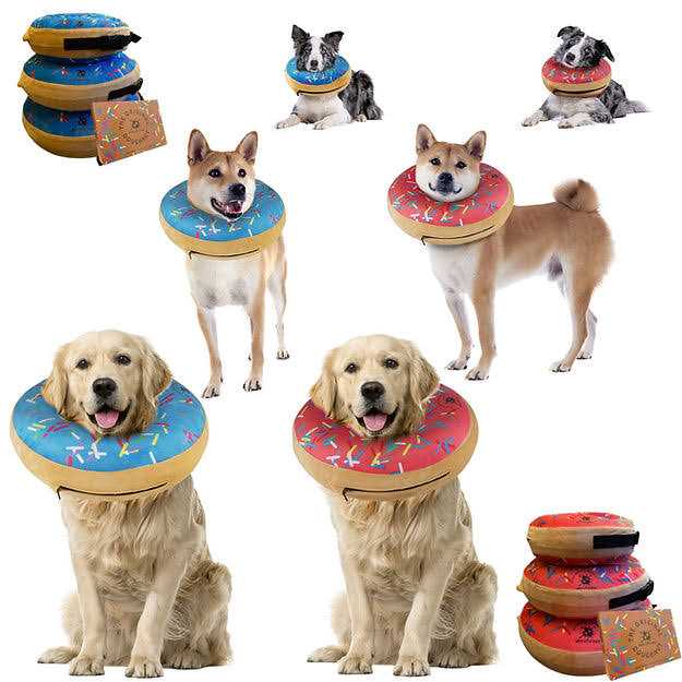 Dog Donut Collar Z166