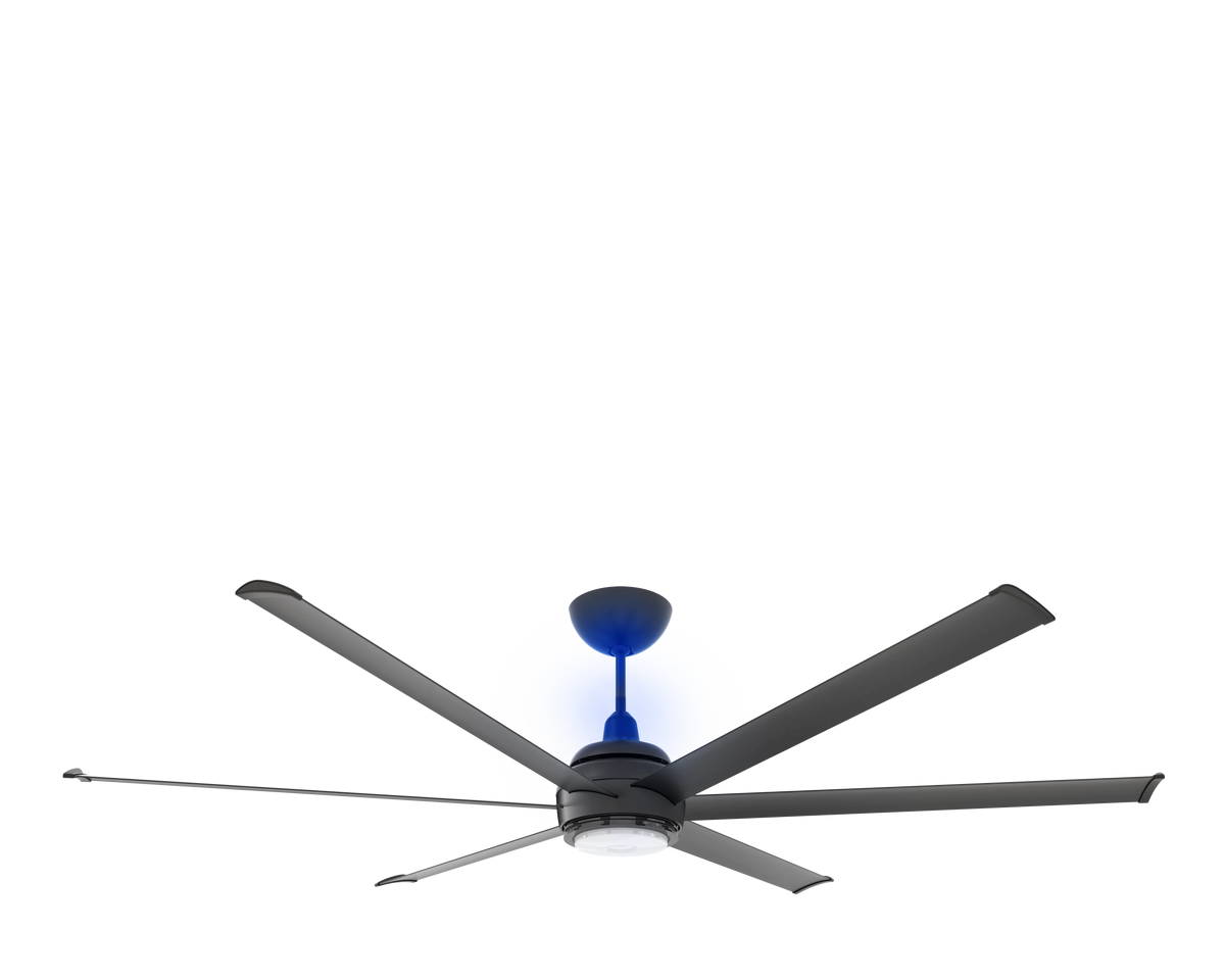 Black Ceiling Fan Z173