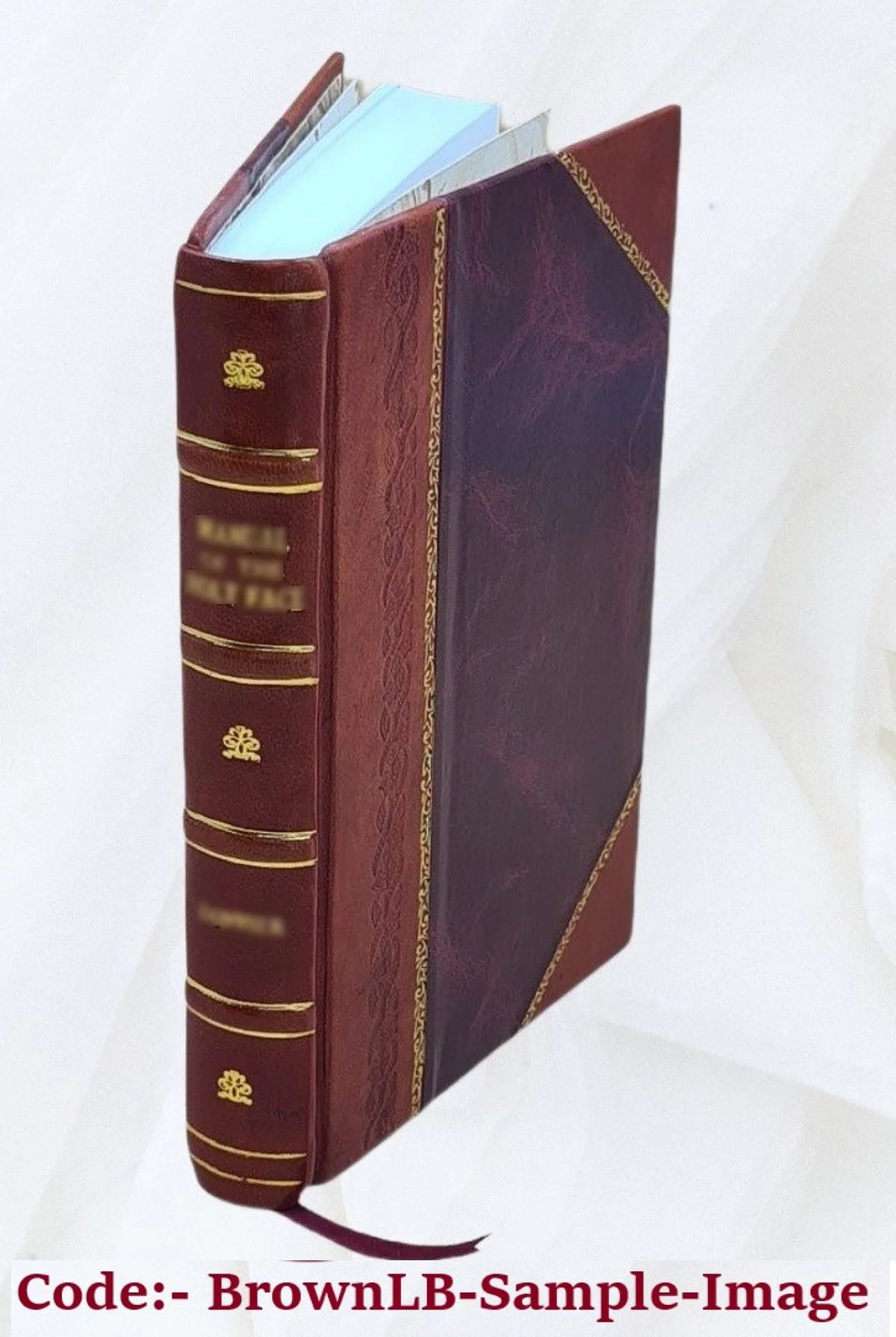 1 Volume Leather Bound Novel V9741