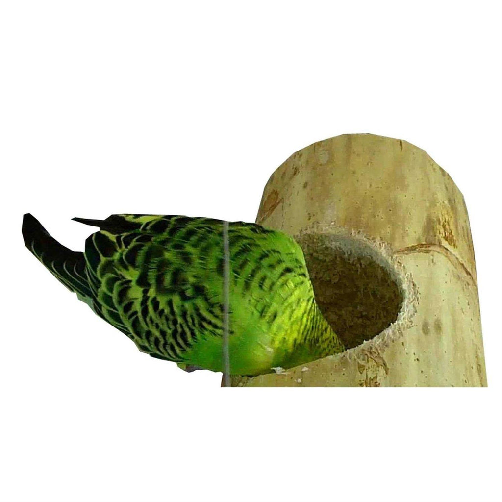 Bird Playnest Z68425
