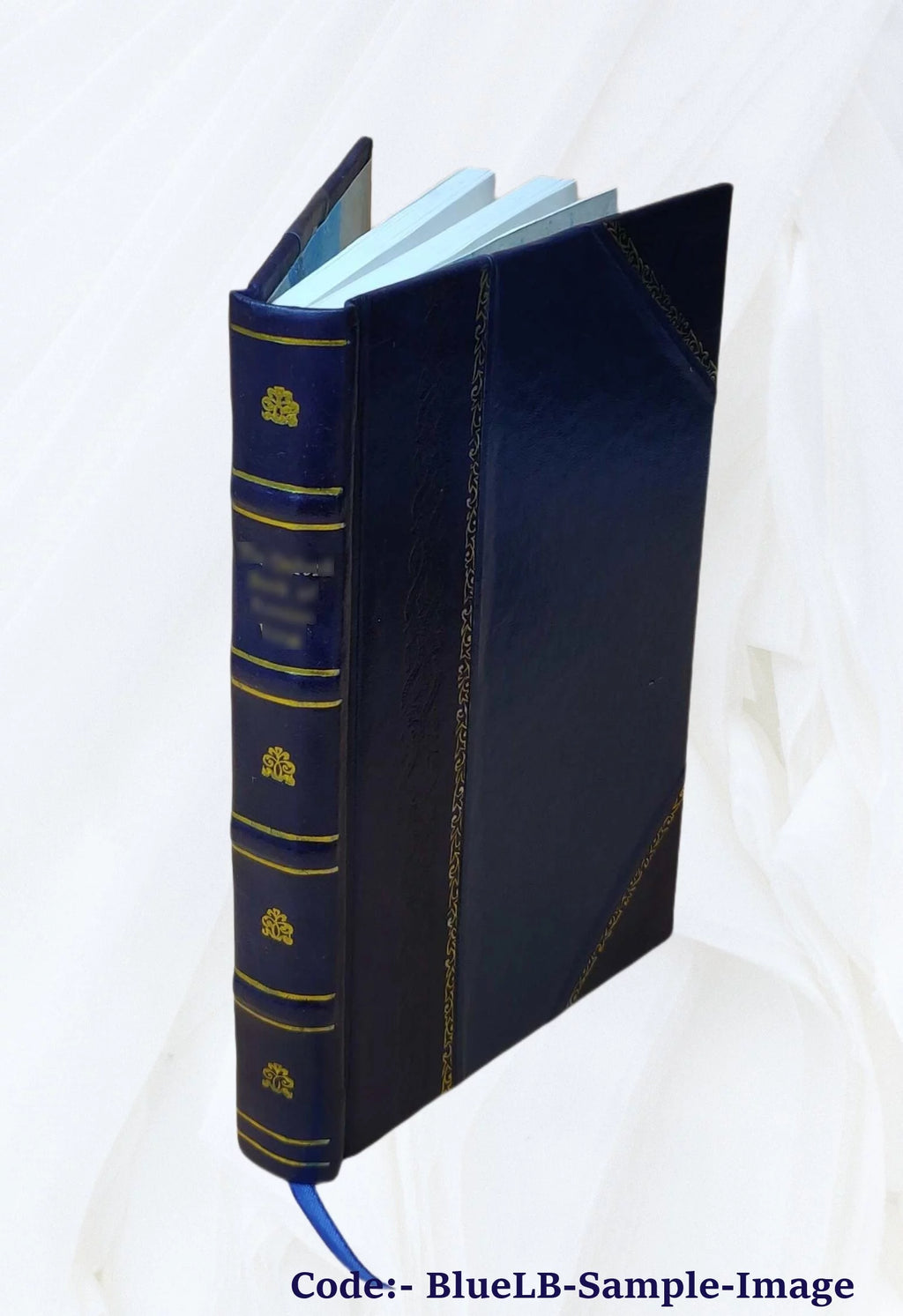 1 Volume Leather Bound Novel V9741