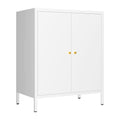 2 Door Metal Storage Cabinet with 1 Adjustable Shelf R5454