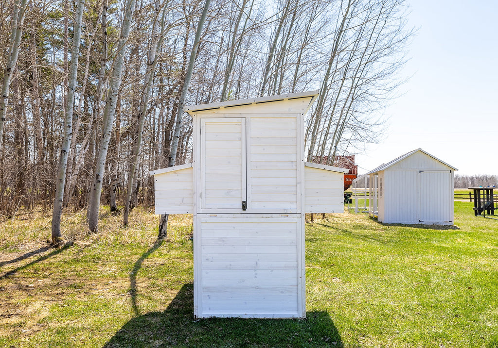 Walk-In Chicken Coop Z377894