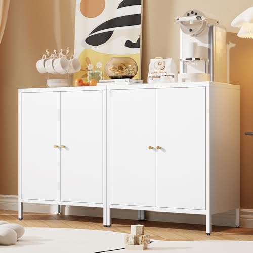 2 Door Metal Storage Cabinet with 1 Adjustable Shelf R5454