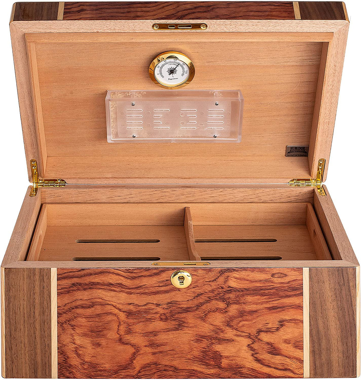 Desktop Cigar Humidor, High-Gloss Walnut B74783