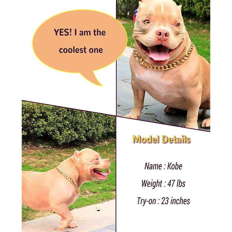 Gold Chain Cuban Link Dog Collar Q346
