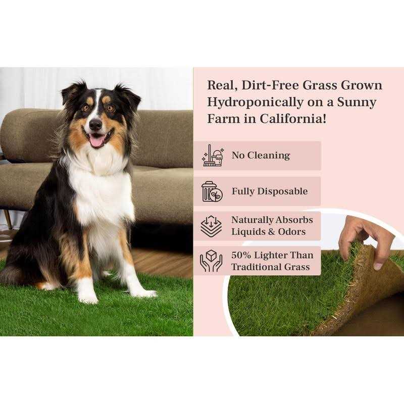 Real Grass Dog Potty V615