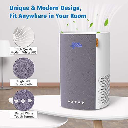 HEPA H13 Filter Air Purifier B3619