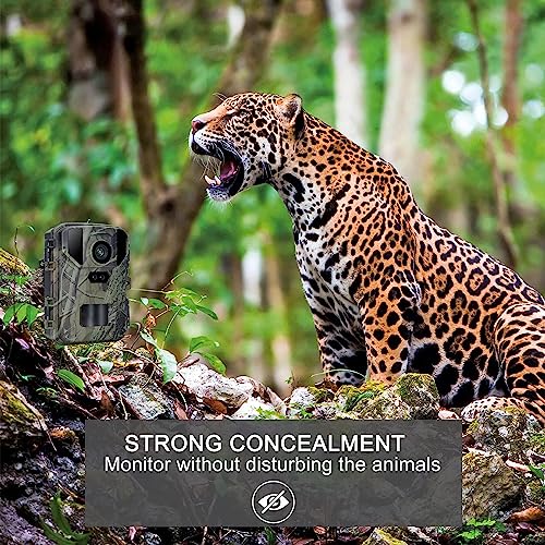 24MP 1080P Night Vision Trail Game Camera T43001