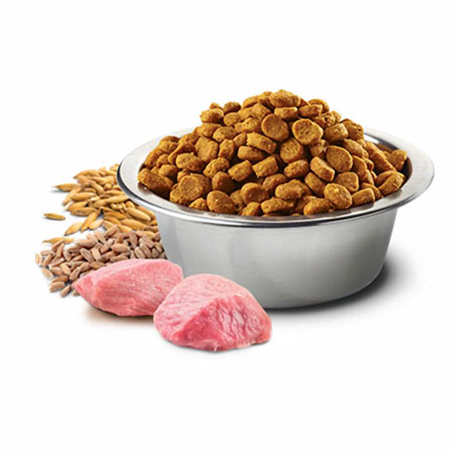 Lamb Spelt Oats and Tropical Fruits Adult Medium Maxi 4.4 lbs X4393