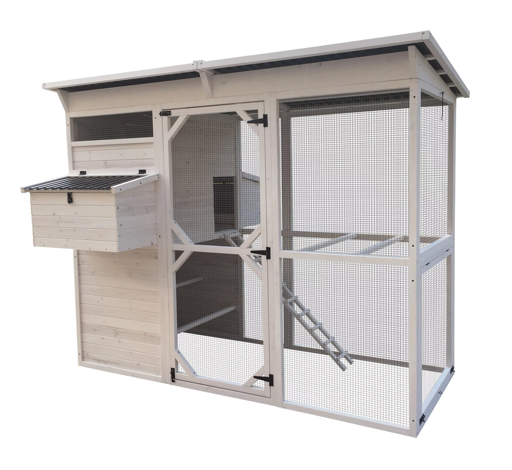 Walk-In Chicken Coop Z377894