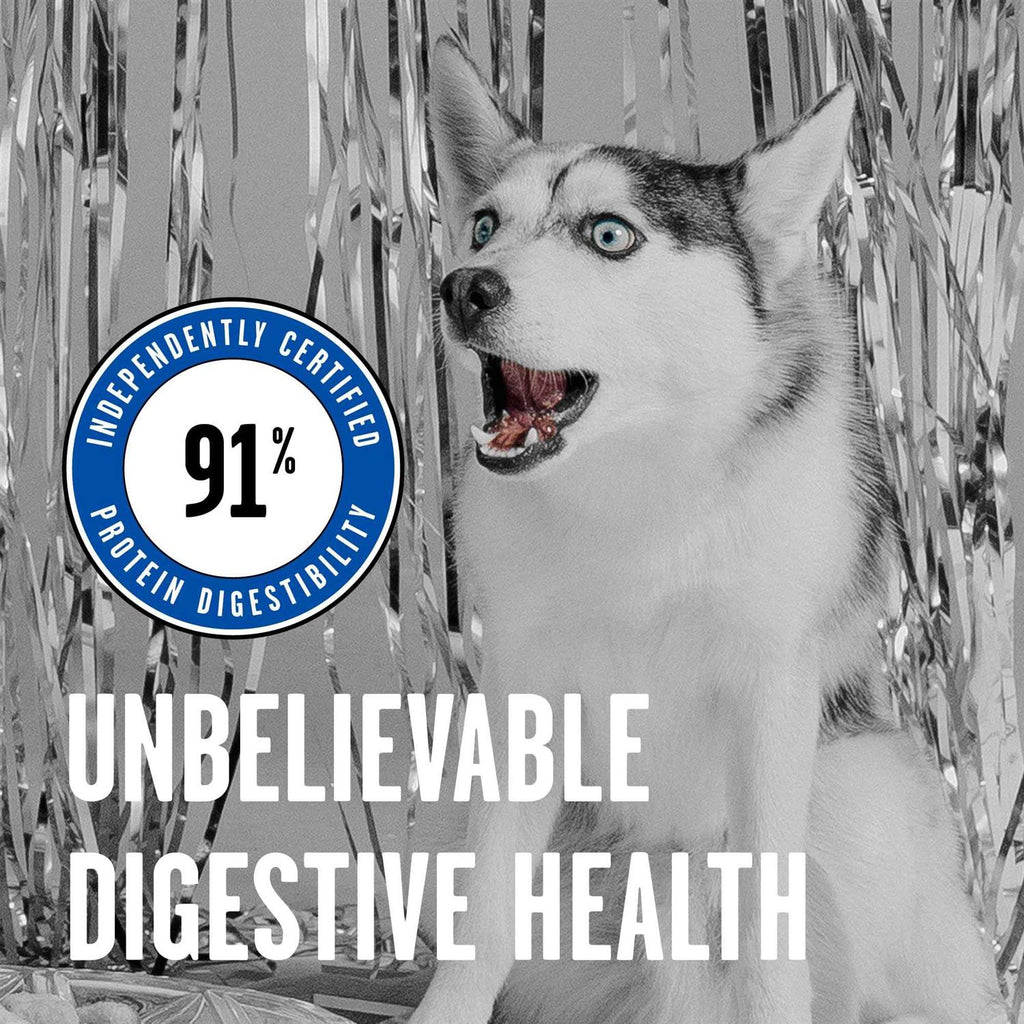 Dry Dog Food R57616