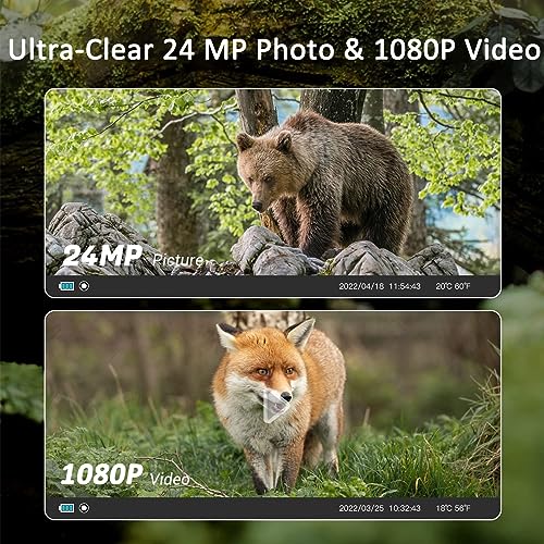 24MP 1080P Night Vision Trail Game Camera T43001
