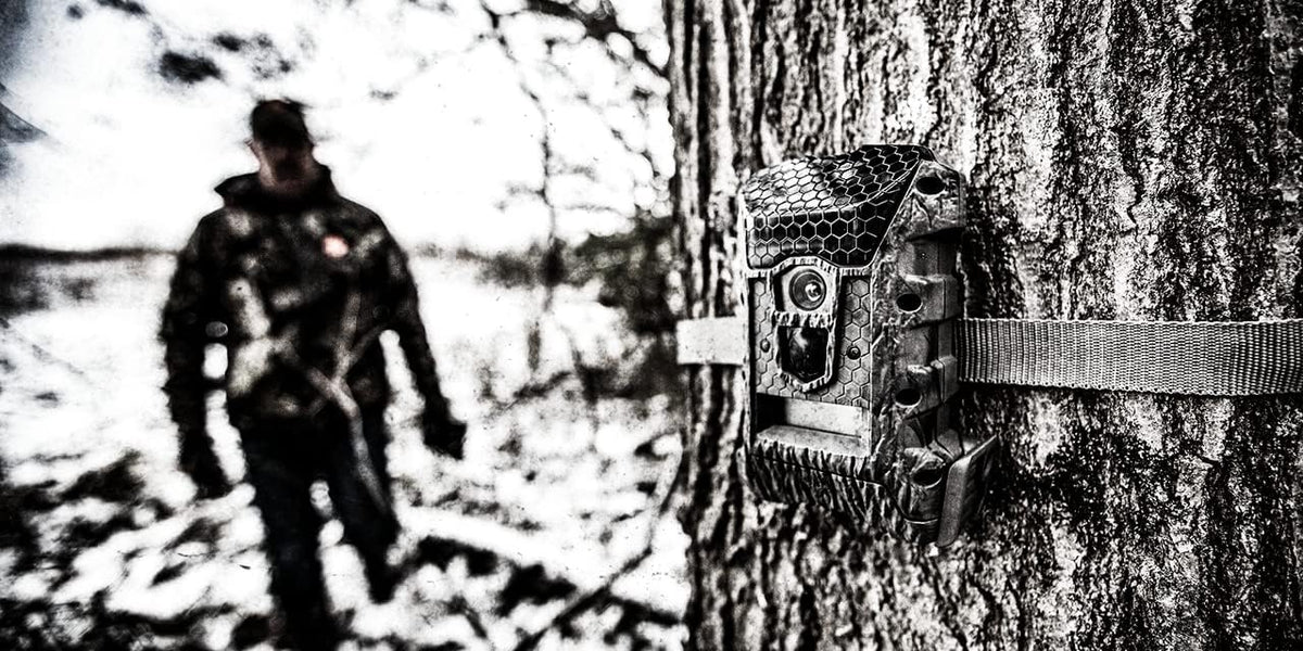 14 Megapixel Trail Camera I614299