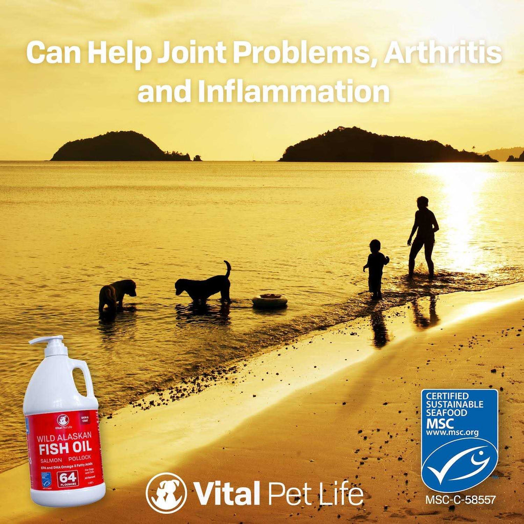 Fish Oil for Dogs W7436