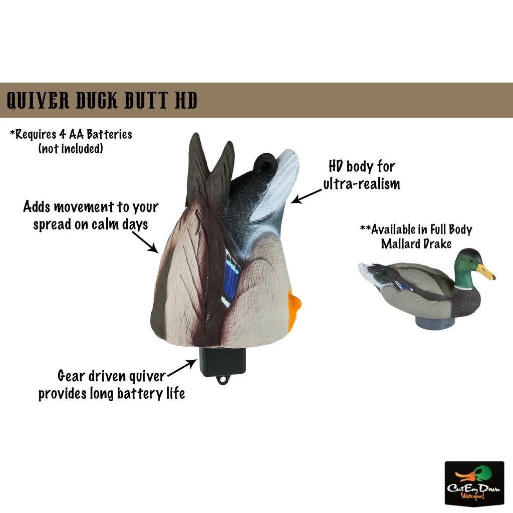 Drake Mallard Duck Butt HD X441