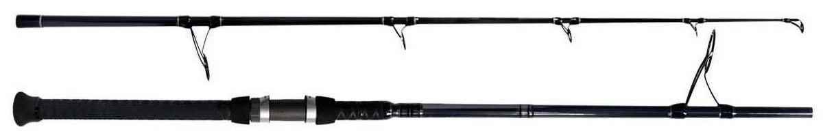 Saltwater Surf Spinning Rod 10', 2pc Z793448