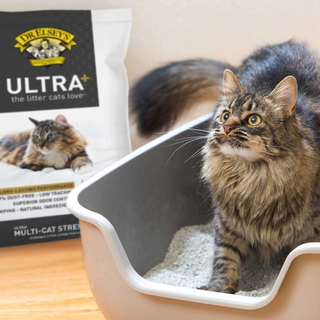 Cat Litter E13634
