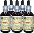 Wildcrafted Dried Leaf Liquid Extract 5x2 oz Y8685