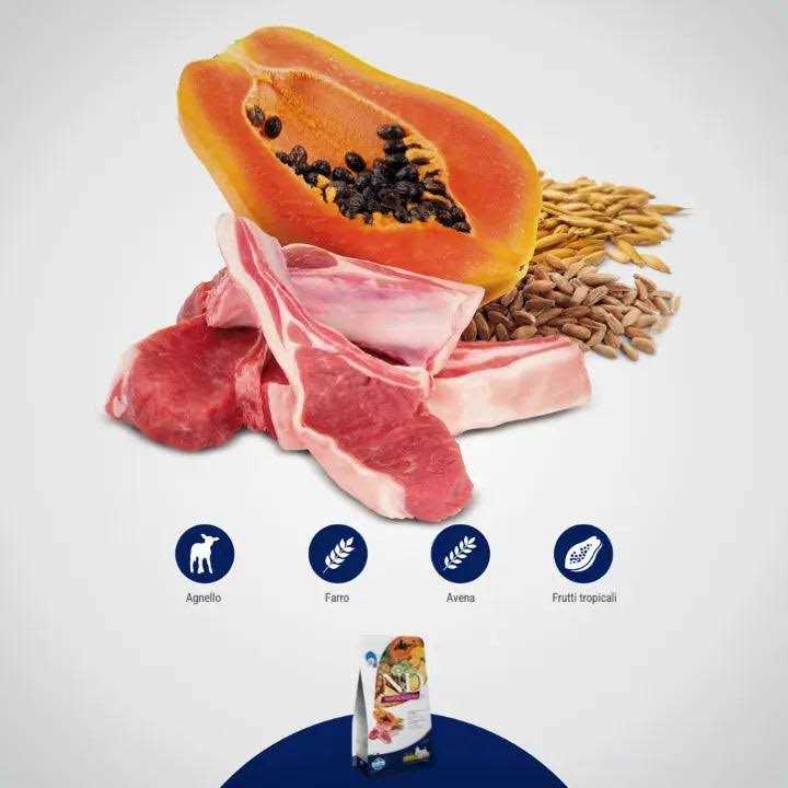 Lamb Spelt Oats and Tropical Fruits Adult Medium Maxi 4.4 lbs X4393