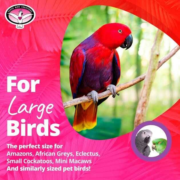 Bird Toy W8316