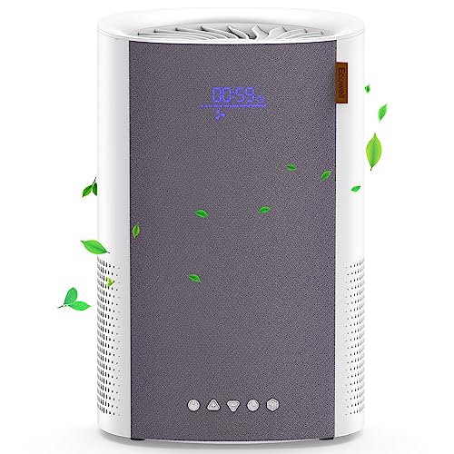 HEPA H13 Filter Air Purifier B3619