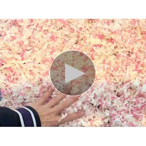 Natural Paper Bedding with Rose Petals A125257