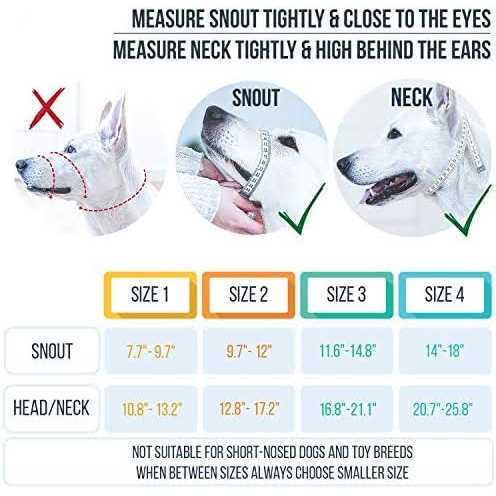 Dog Head Halter with Safety Strap U142058