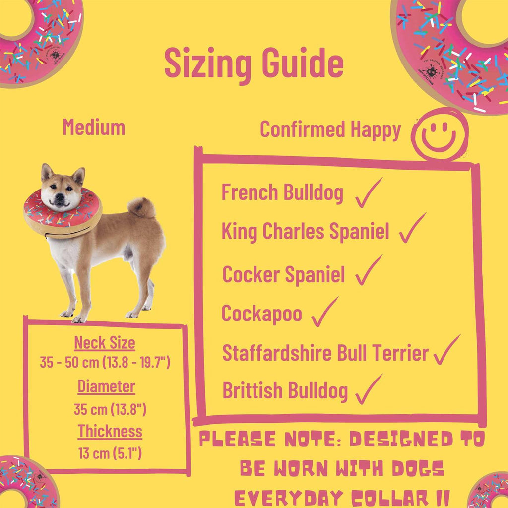 Dog Donut Collar Z166