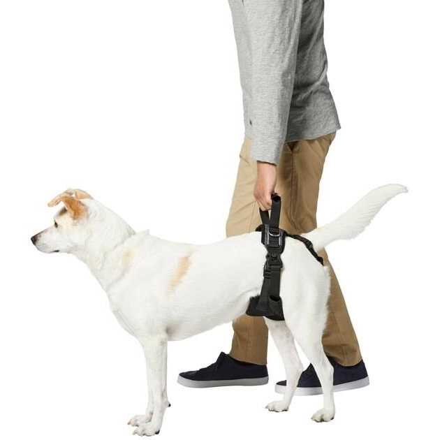Handicapped Support Dog Harness V111980