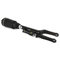 Air Suspension Strut H151557