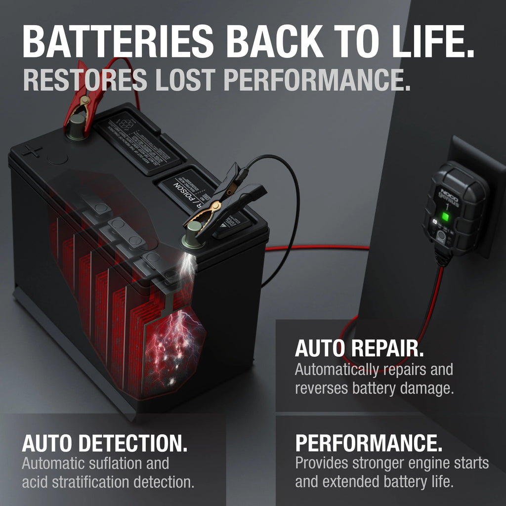 6V/12V 1A Smart Battery Charger and Maintainer R1379