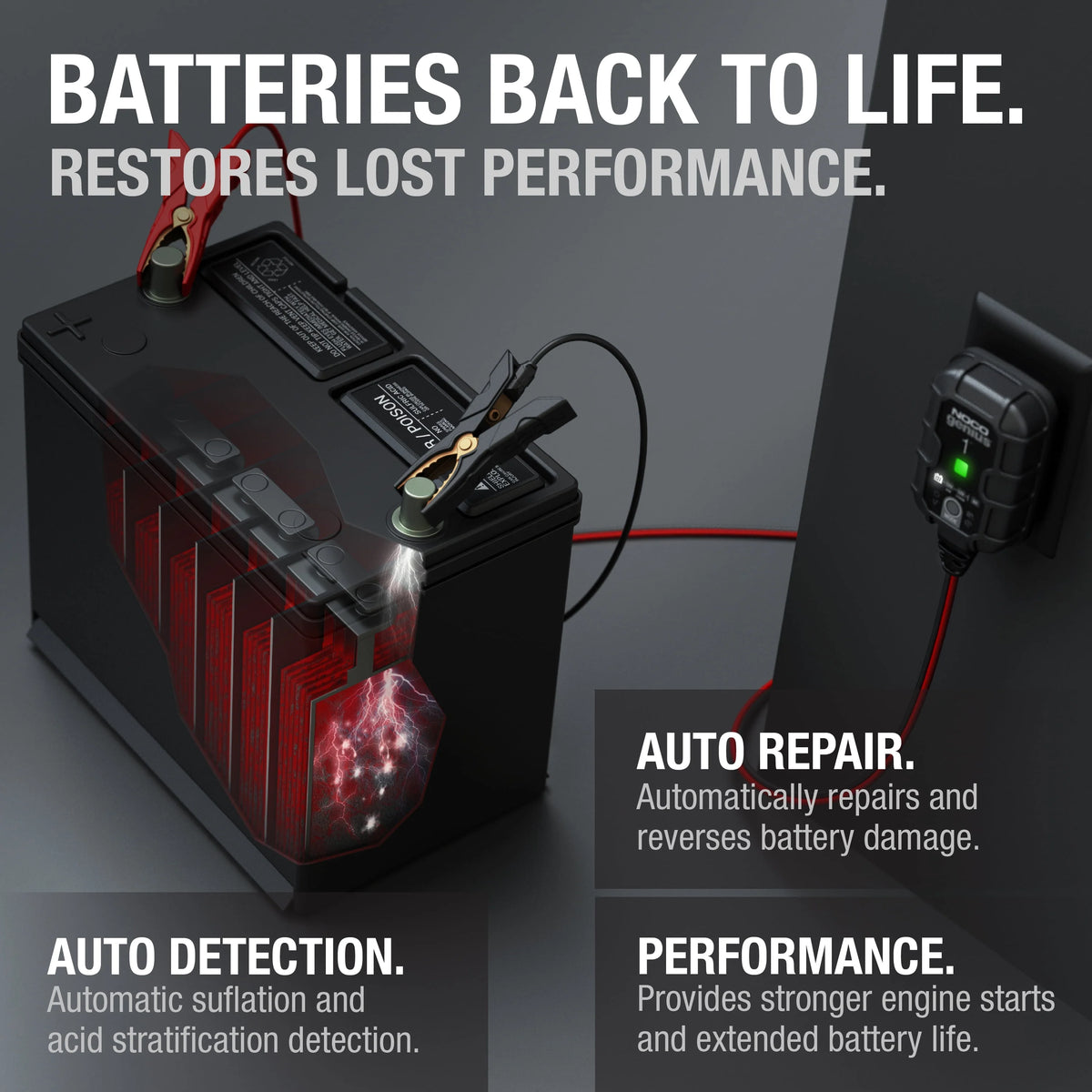 6V/12V 1A Smart Battery Charger and Maintainer R1379