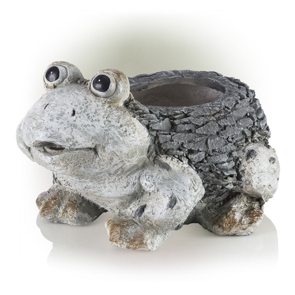 Ceramic Frog Planter, Gray Y689493