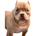Gold Chain Cuban Link Dog Collar Q346