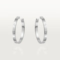 Earrings F90179