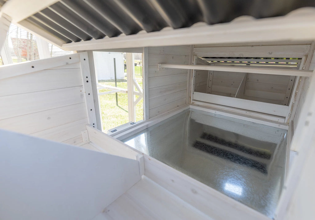 Walk-In Chicken Coop Z377894