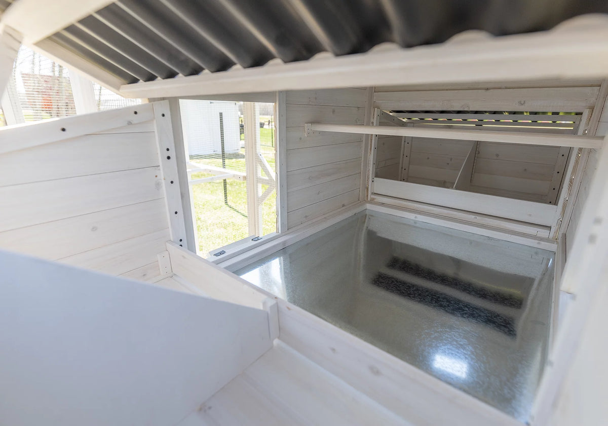 Walk-In Chicken Coop Z377894