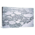Sea Ice Pancake Ice Art Print T506