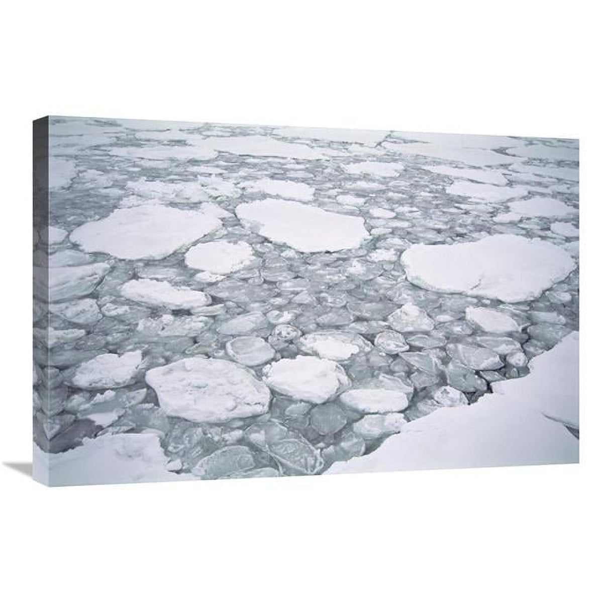 Sea Ice Pancake Ice Art Print T506