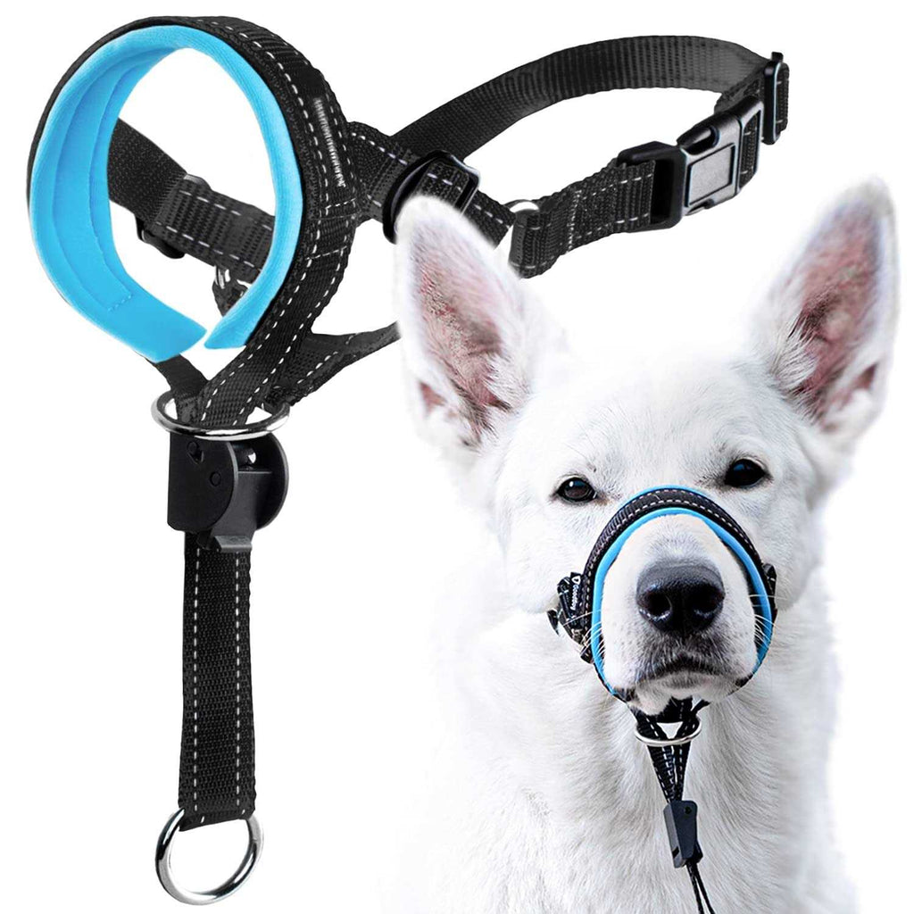 Dog Head Halter with Safety Strap U142058