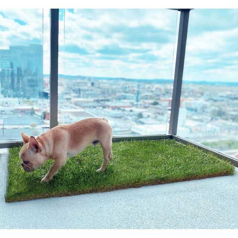 Real Grass Dog Potty V615