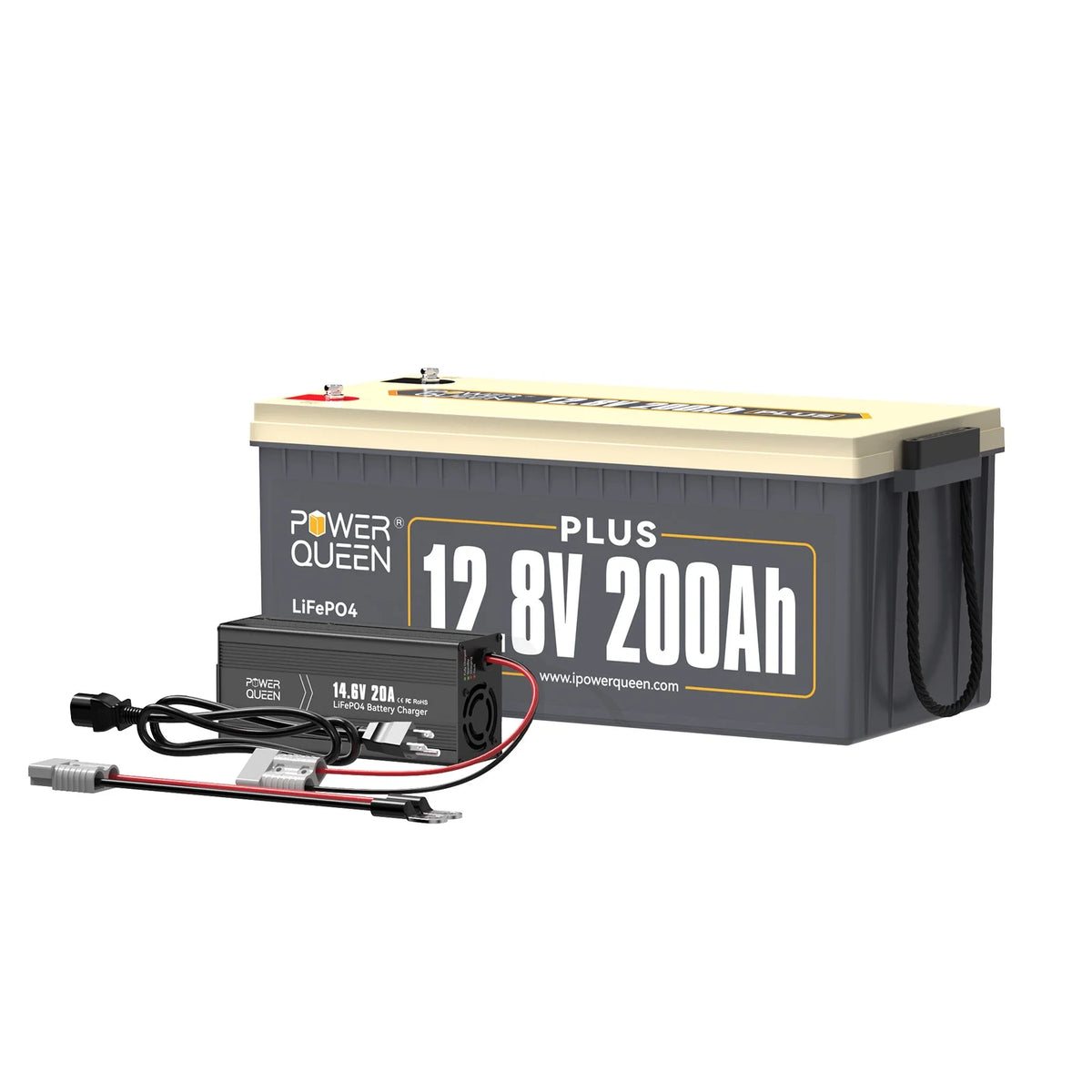12V 200AH LiFePO4 Deep Cycle Lithium Battery D259475
